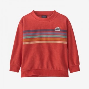 Patagonia Baby Lightweight Crew Sweatshirt Lasten Puserot Punainen Suomi | WV490-3559