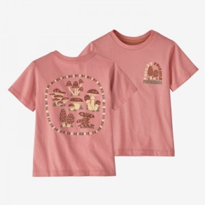 Patagonia Baby Regenerative Organic Certified™ Cotton Graphic T-Shirt Lasten T Paidat Pinkki Suomi | TI507-3935